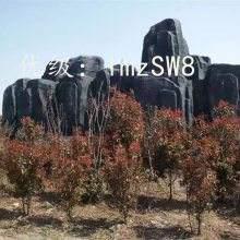 Ⱦ